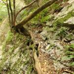 Ferrata Sallagoni Castel Drena